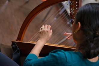 Basic Chordal Techniques on Harp